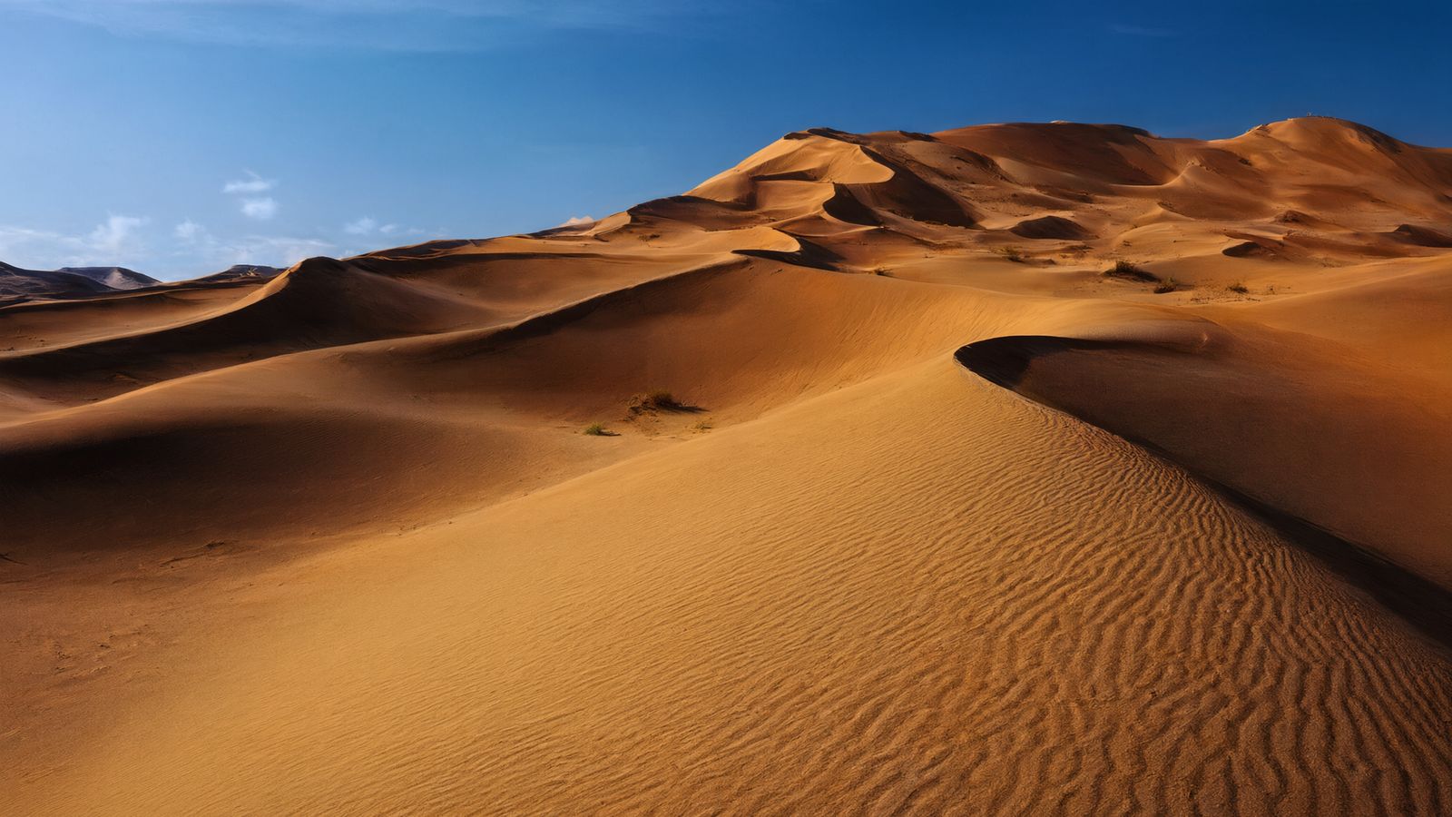 Large golden dune ridges under a deep blue sky near Biluutu Peak