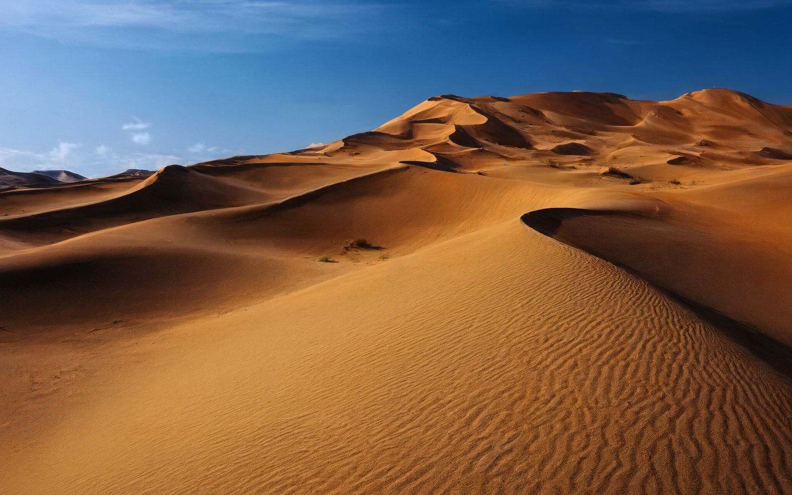Large golden dune ridges under a deep blue sky near Biluutu Peak