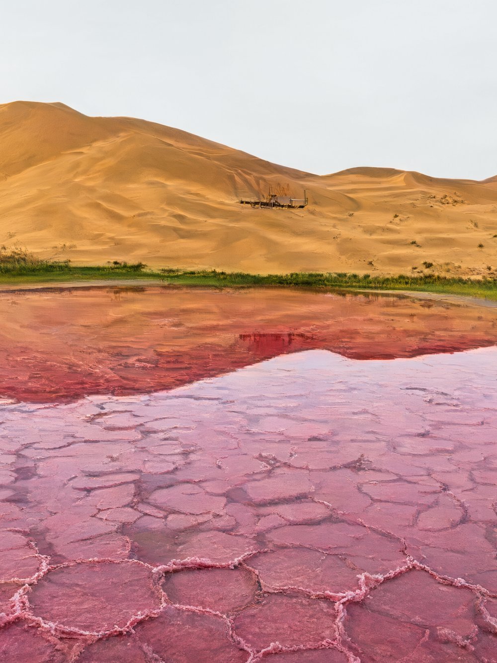 Dune above red-pink water with a cracked salt crust at Hong Haizi