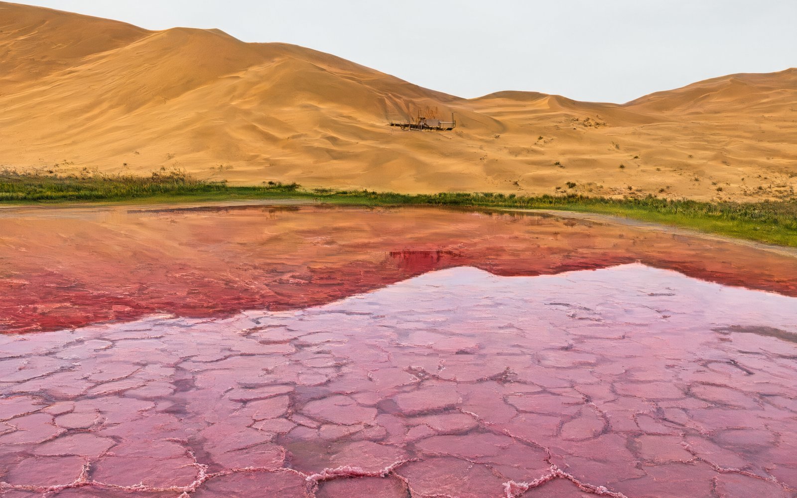 Dune above red-pink water with a cracked salt crust at Hong Haizi