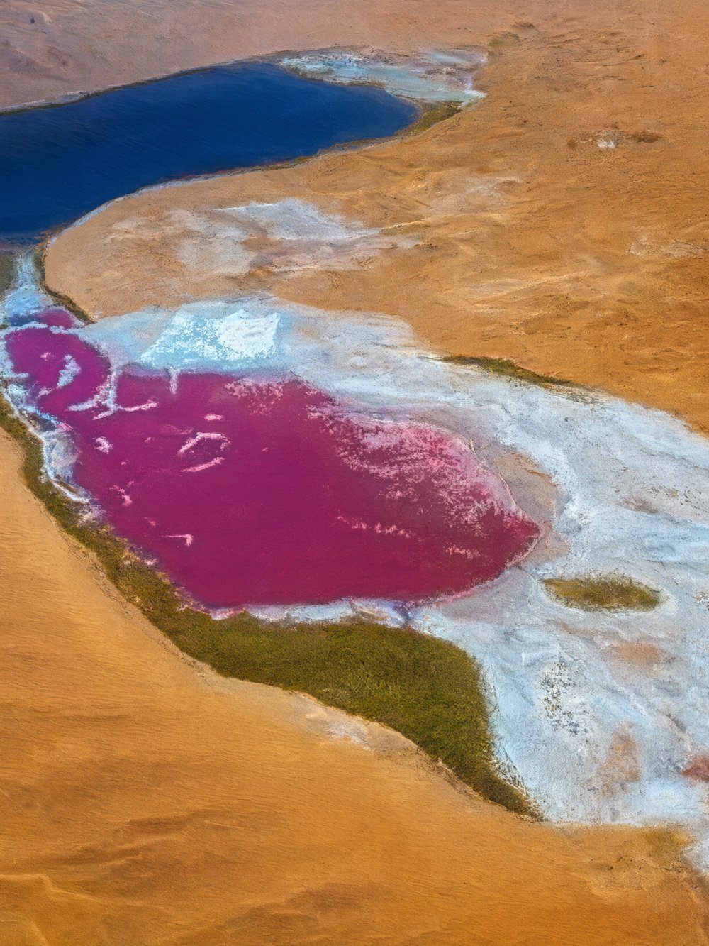 Aerial view of a deep blue lake beside a magenta salt lake among dunes