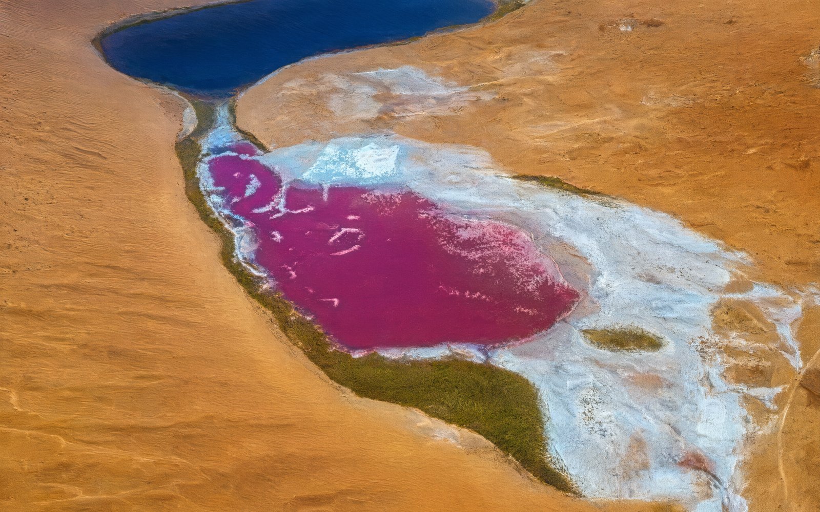 Aerial view of a deep blue lake beside a magenta salt lake among dunes