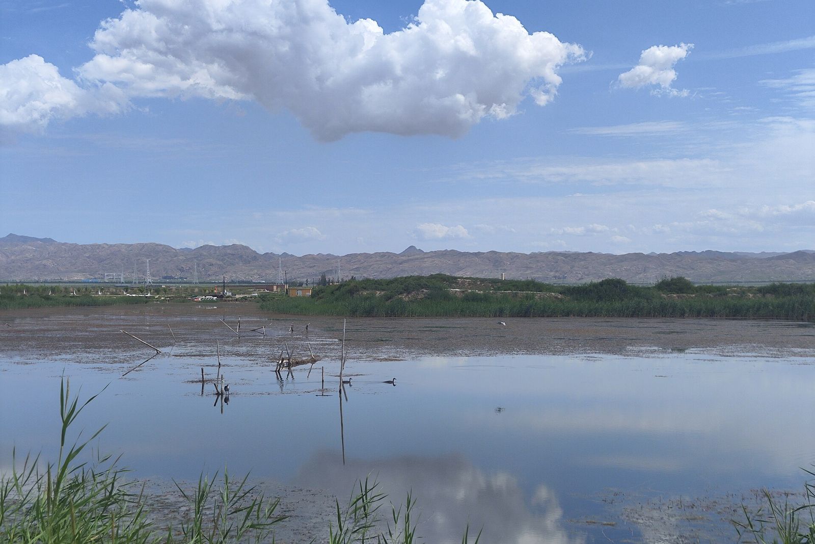The shore of Wuliangsuhai lake in Bayannur