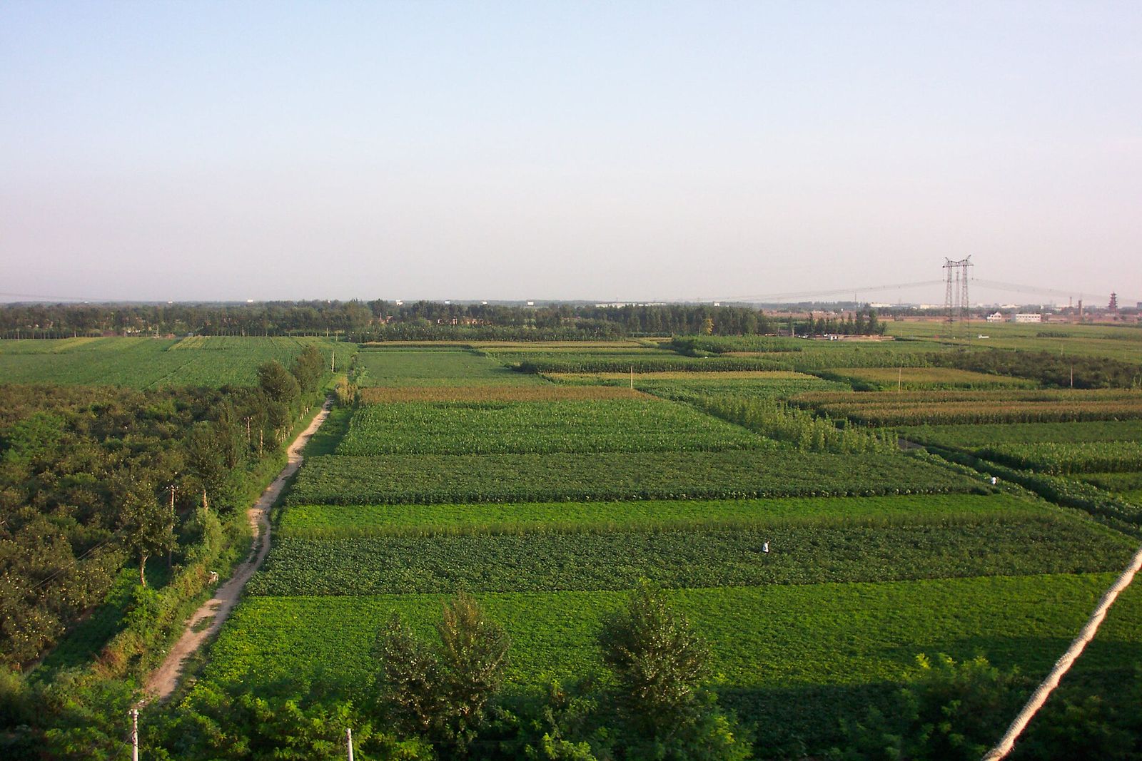 Farmland on the plain near Langfang