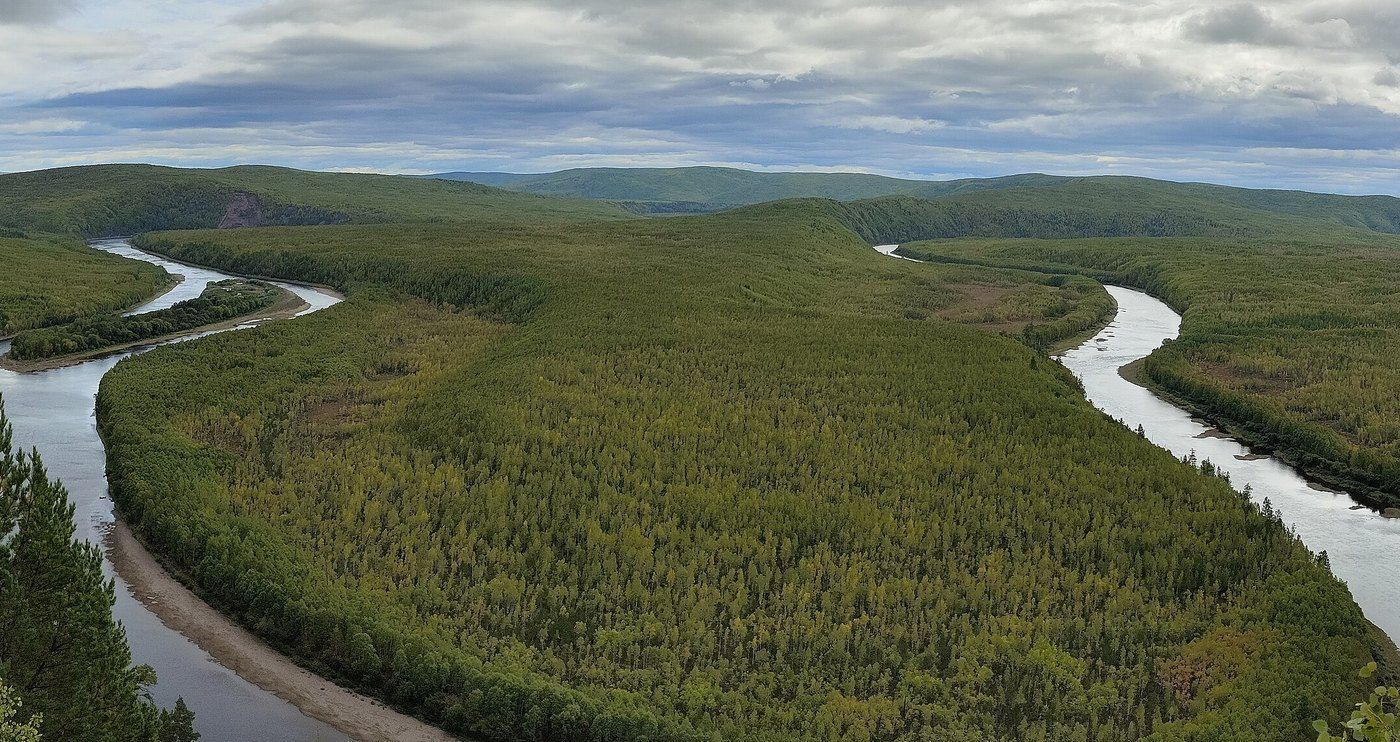 A forested river bend near Beiji Village in Mohe