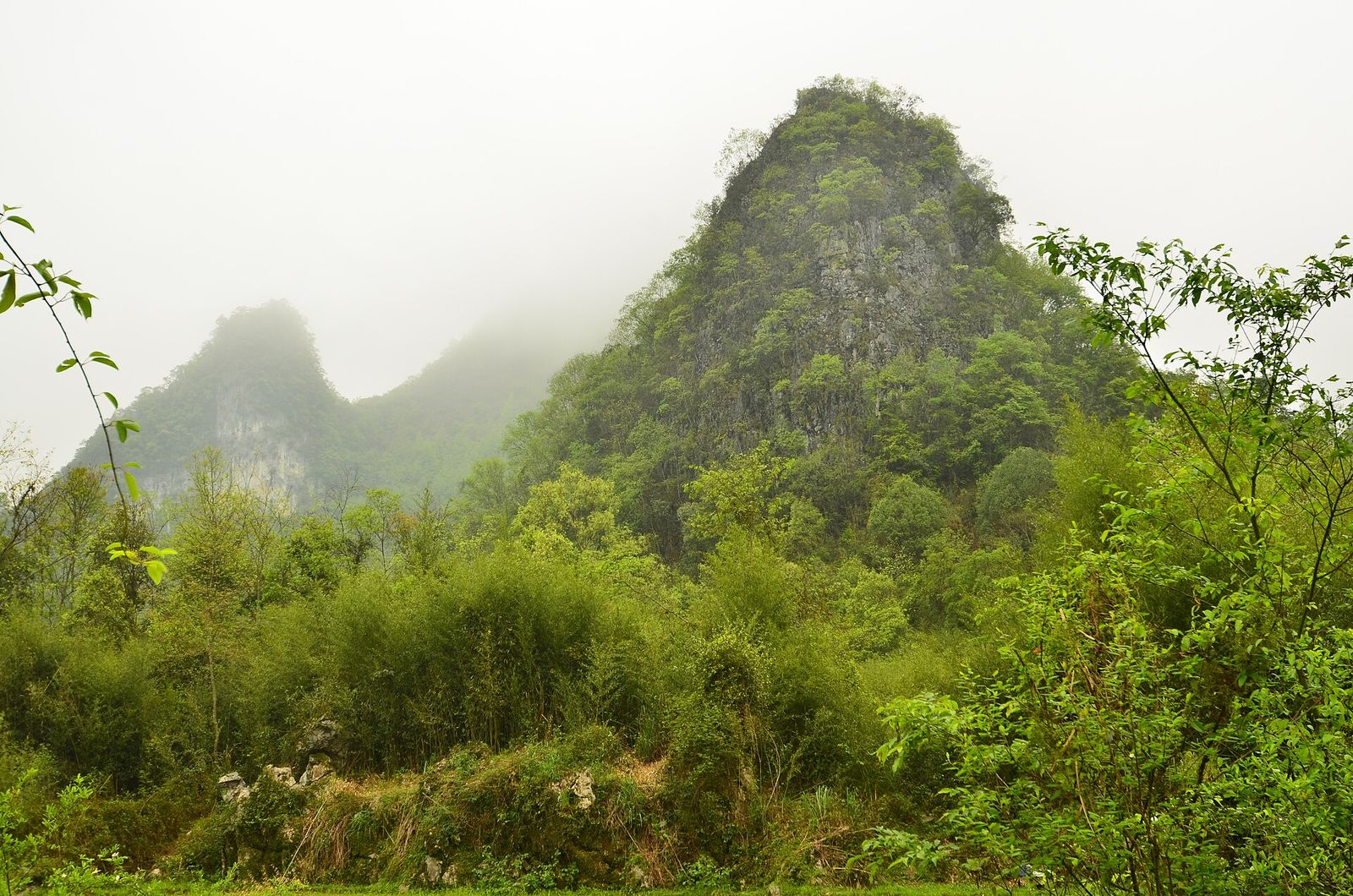 A karst peak at Xiaoqikong in Libo, Qiannan