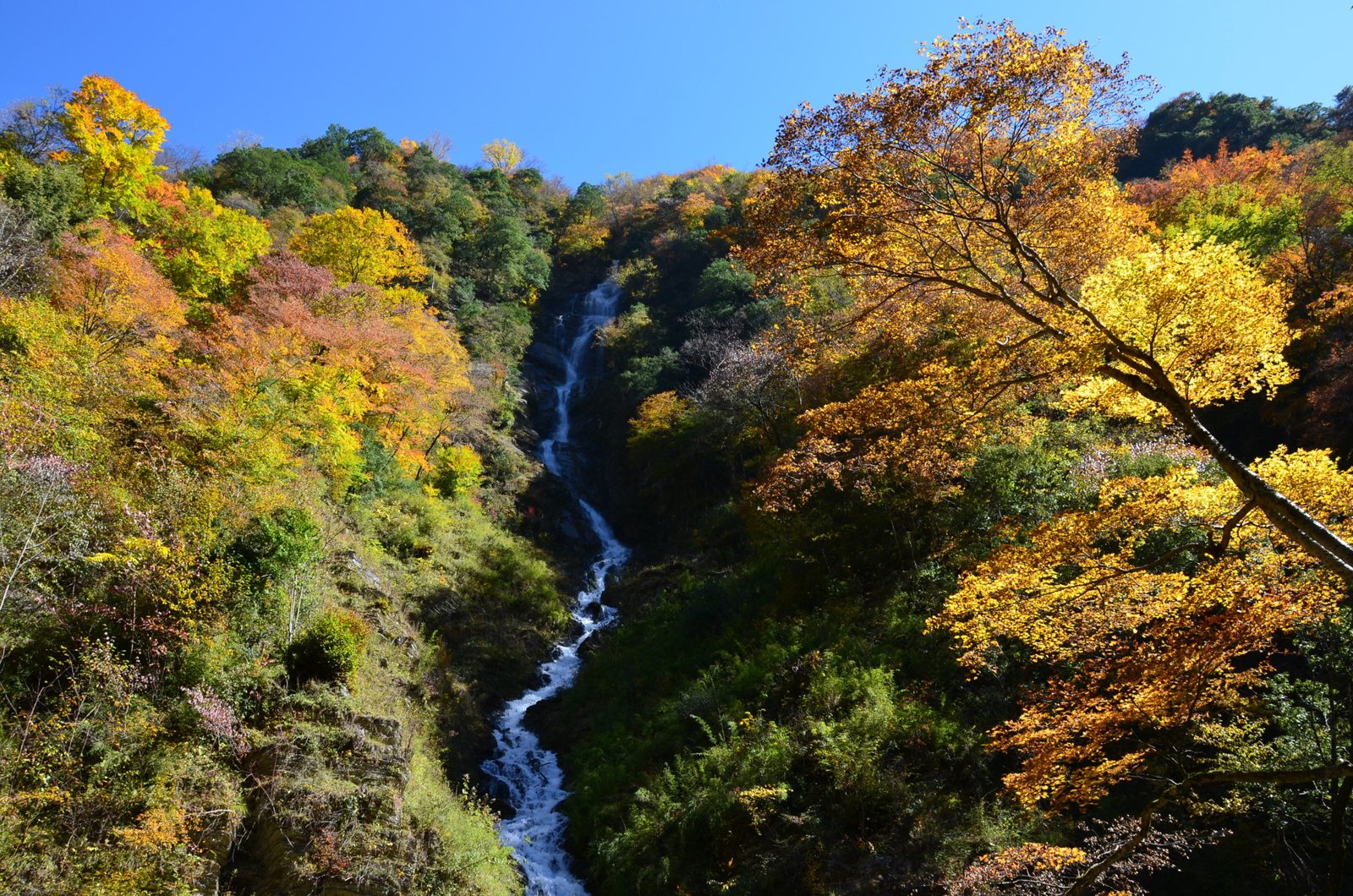 Tianshu Gorge, Ankang