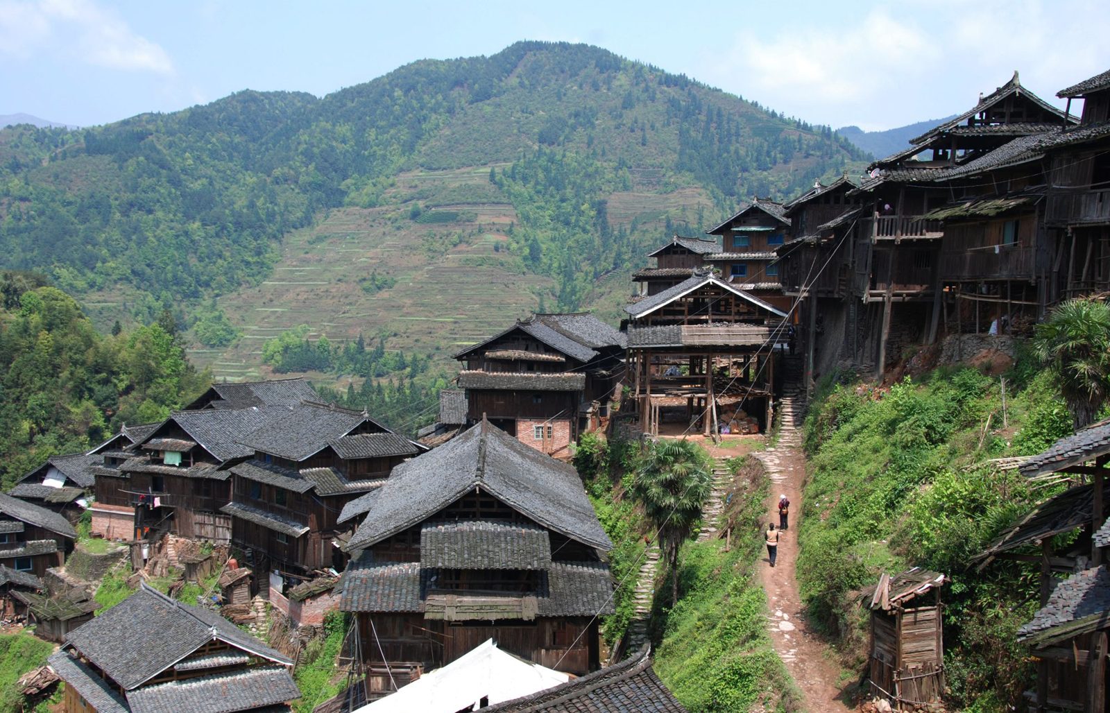 Fenghuang, Fenghuang