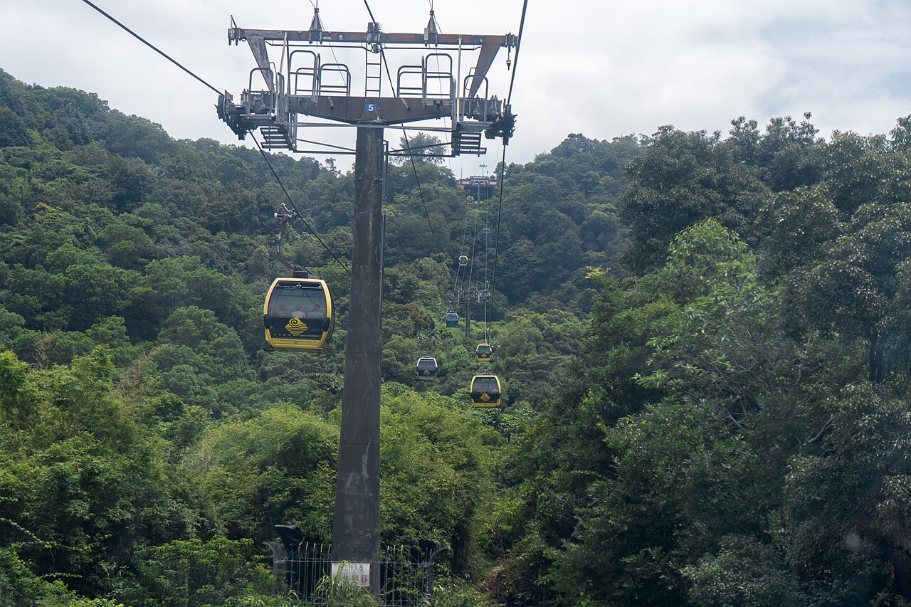 A cable car cabin passing a steel pylon above a thick green forest canopy