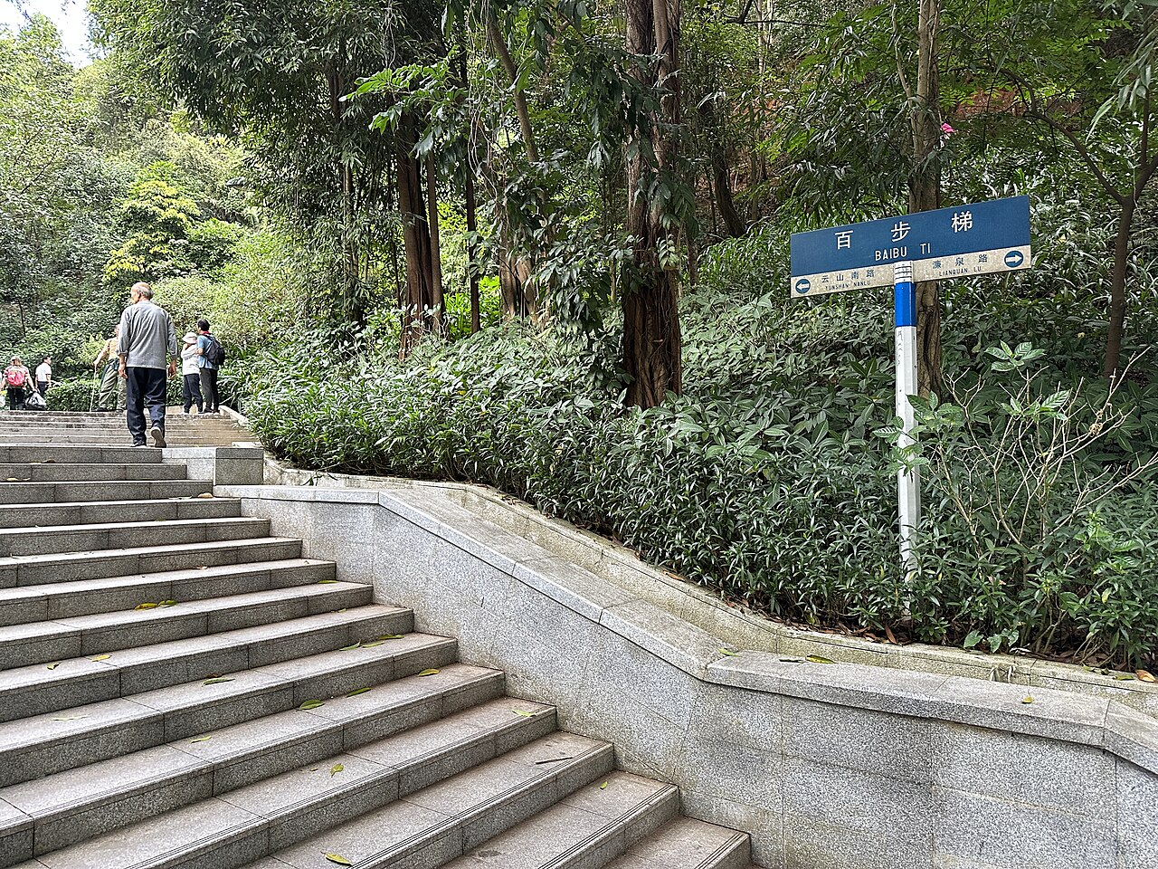 A flight of stone steps with a concrete side wall climbing through dense green forest, with a visitor walking up and a blue direction sign on a post