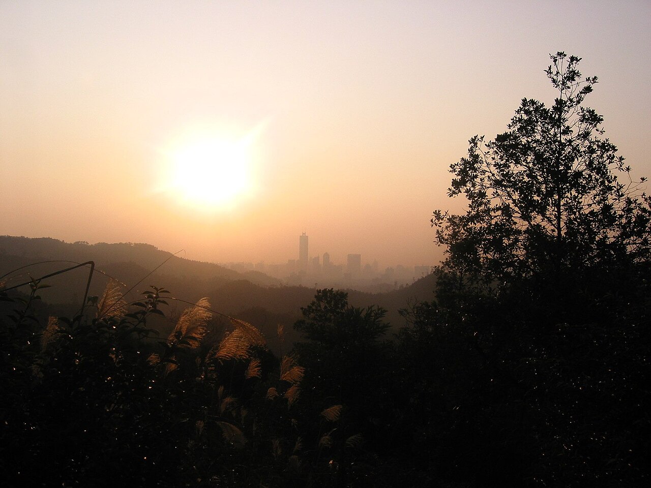 The setting sun a pale disc above a hazy city skyline and dark ridges, framed by the leaves of a tree in the foreground