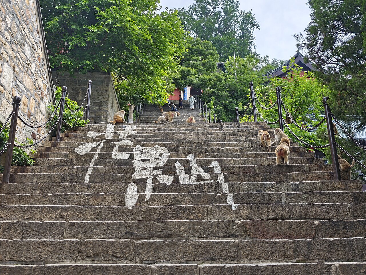 A broad flight of grey stone steps climbing between low walls under green trees, with the three characters of the mountain's name laid out in white stone across the steps and several monkeys sitting on the stairs