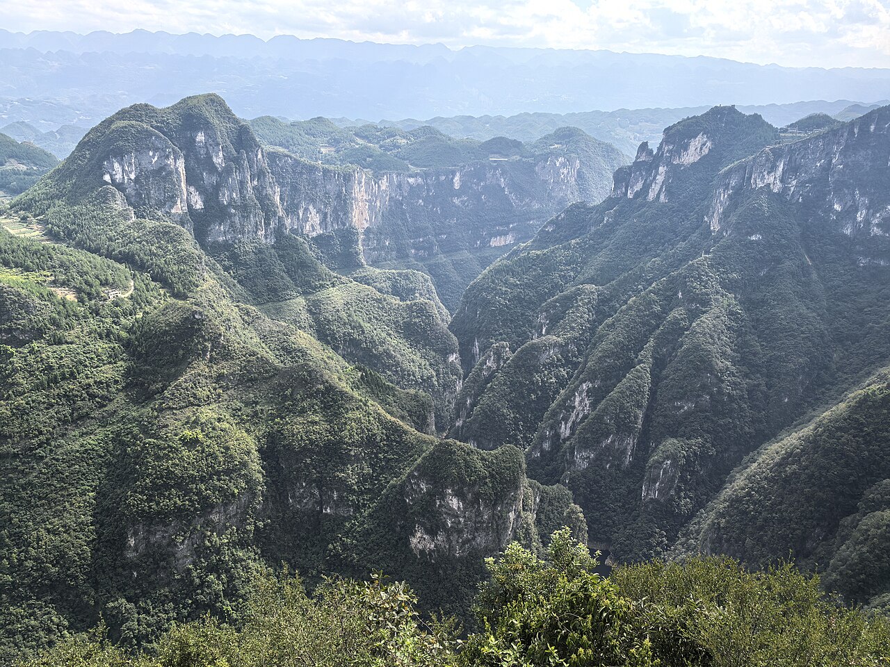 A deep green canyon between forested ridges with pale cliff bands, with layers of mountain fading into haze under a pale sky