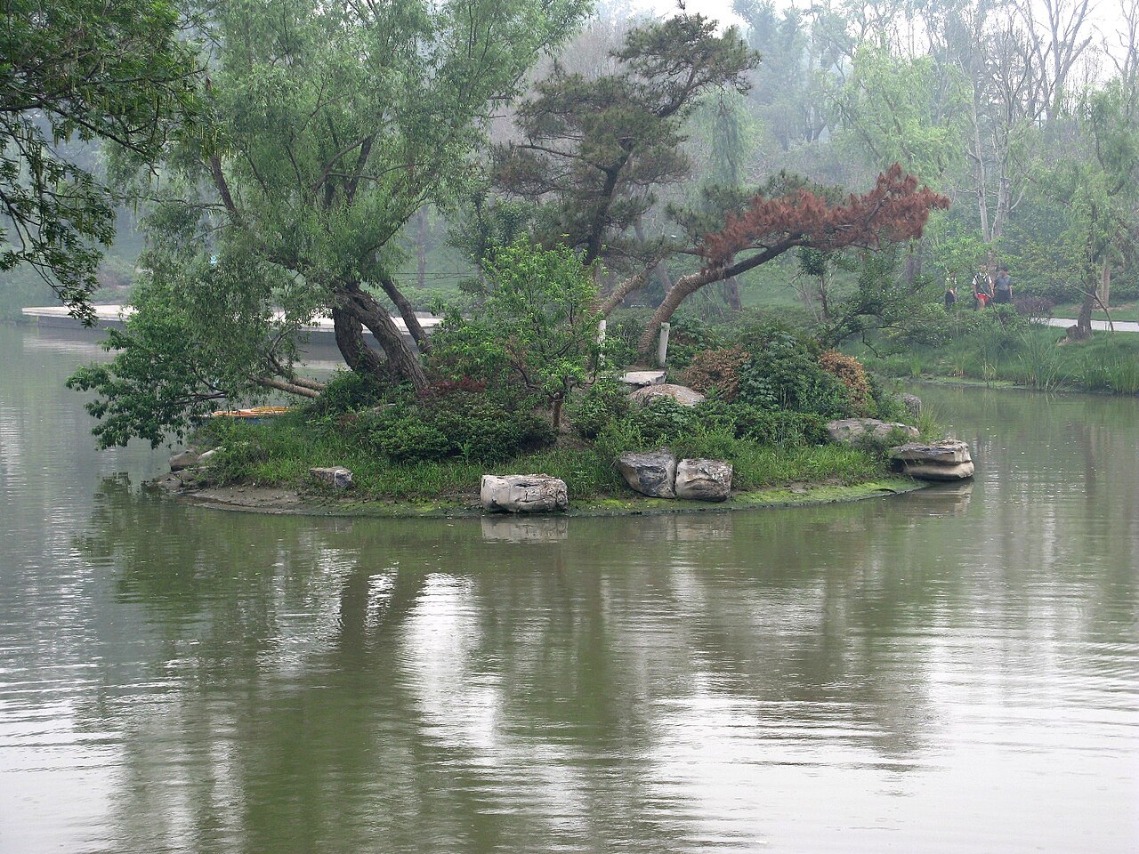 A small green islet with twisted trees and a few boulders at the shore, in grey-green water with willows behind