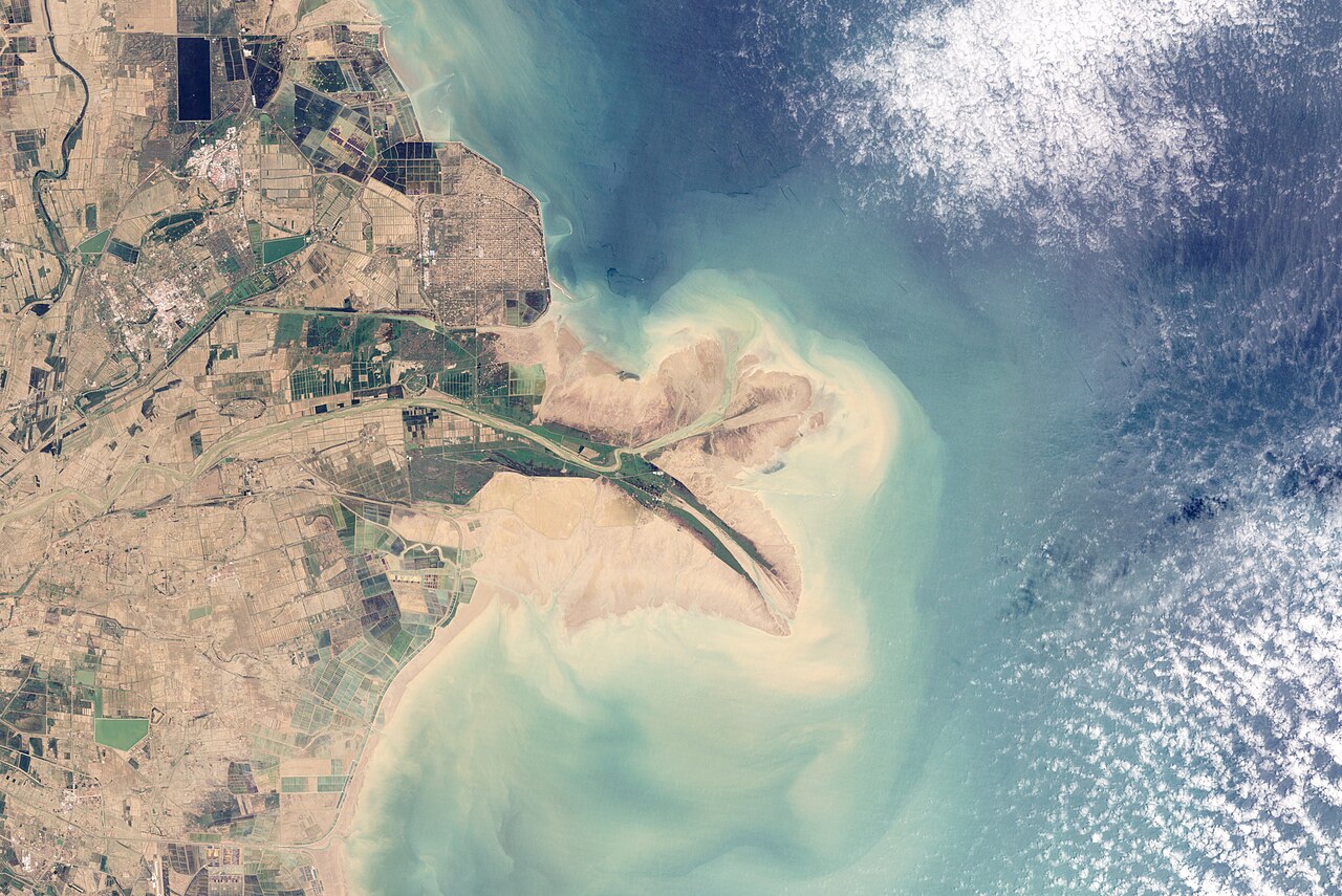 A satellite image of a river delta with a pale tongue of silt-laden water spreading into the green sea, and farmland and salt pans on the land at left