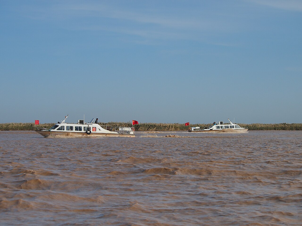 Two white tour boats on the brown water of the river mouth in front of a low reed bank and a blue sky
