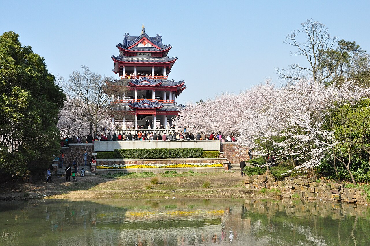 A red-roofed multi-storey tower beside a pond and a bank of cherry trees in full pink-white blossom, with a crowd on the path in front