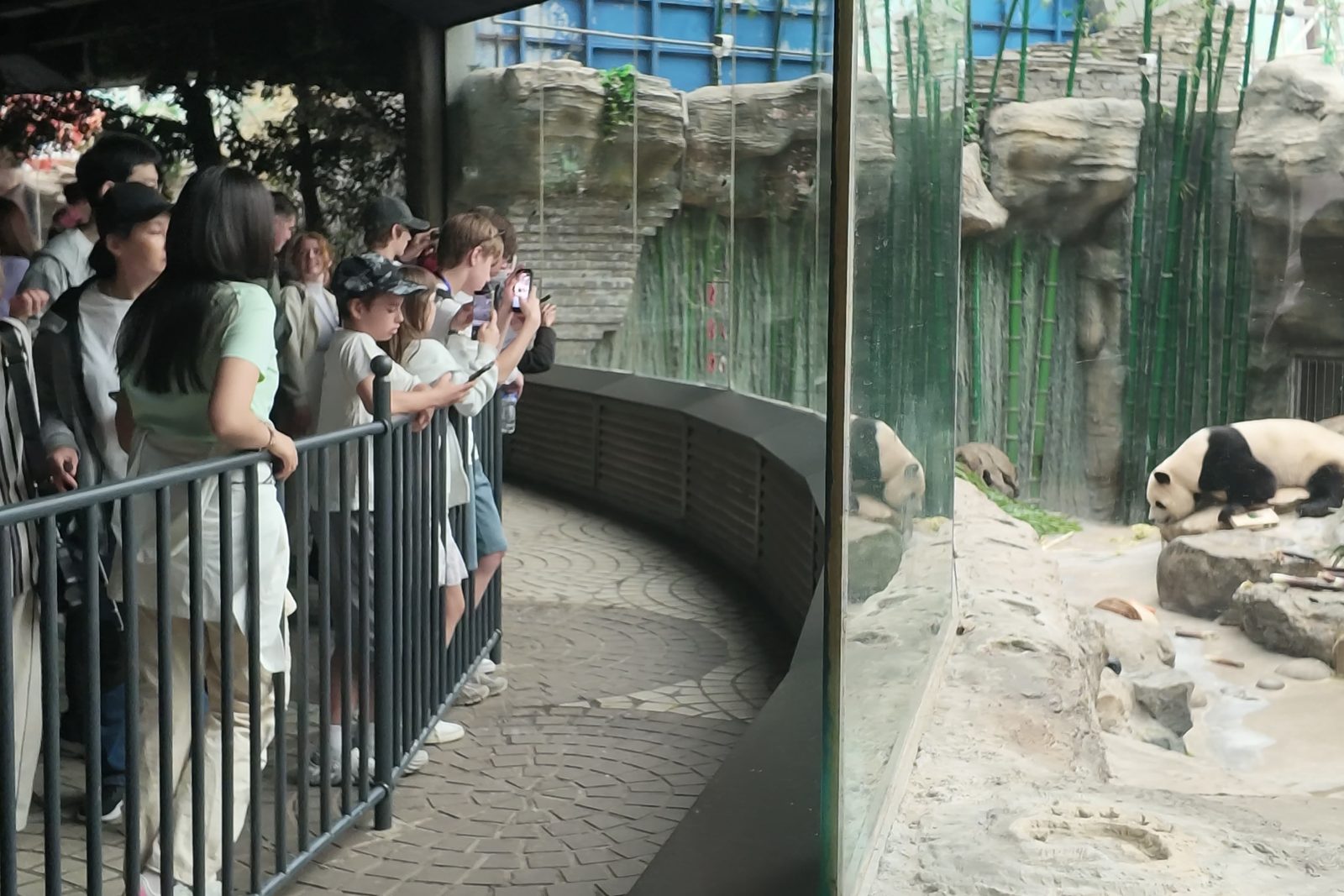 A giant panda lying on rocks in its enclosure at a zoo in Beijing, with visitors along the rail